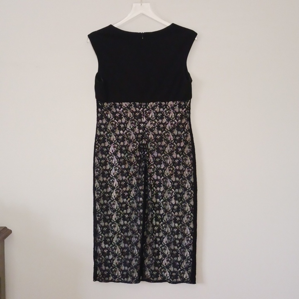 David Meister Whimsigoth Black and Cream Lace Bodycon Dress, Size 12 - Picture 6 of 8